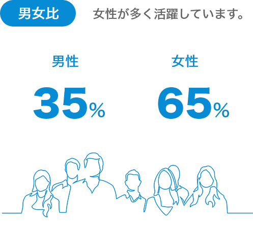 男女比 女性が多く活躍しています。